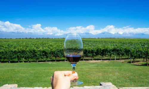 Masculine hand holding glass of wine with Andes and Winery on the Background in Mendonza, Argentine